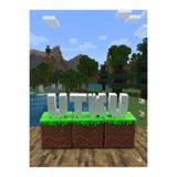 AU Design İsme Özel Minecraft Blok Kutuları " Panda Hediyeli" 6-7 Harf