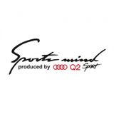 Audi Q2 Mind Sport Far Üstü Oto Sticker Kaput Yapıştırma
