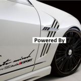 Audi Yan Kapı Çamurluk Sticker Araba Oto Yapıştırma 2Adet