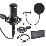 Audio Technica AT2035 Mikrofon