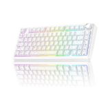 Aula F75 Mekanik Rgb Tkl Seiya Switch Kablosuz Makrolu Hot Swap Klavye Desenli Beyaz beyaz