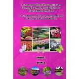 Aumenta tu Vibración: Conecta con la Energía y Mejora tu Equilibrio de tu Ser a través del Color: Con 33 Imágenes de Flores para Reestablecer tu Armonía, Plenitud y Bienestar Vol. 2