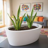 Aura Elipso 40x30x20cm Elips Fiber Saksı Mat - İç ve Dış Mekan Büyük Saksı (Beyaz)