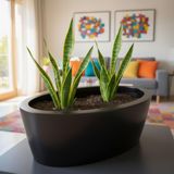 Aura Elipso 40x30x20cm Elips Fiber Saksı Mat - İç ve Dış Mekan Büyük Saksı (Siyah)