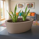 Aura Elipso 40x30x20cm Elips Fiber Saksı Mat - İç ve Dış Mekan Büyük Saksı (Vizon)