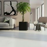 Aura Softbox 30x35cm Fiber Soft-Küp Saksı - Mat - Büyük Saksı - Fiberglass saksı (Siyah)