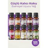 Auran 10'lu Set Saf Esansiyel Uçucu Yağ 10x10 ml Kalıcı Güçlü Koku Aromaterapi Difüzör Esansı