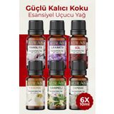 AURAN Çiçekler Seti Saf Esansiyel Uçucu Yağ Buhurdanlık Yağı Difüzör Esansı Aromaterapi Koku Yağı 6X 10 ml