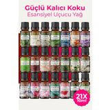 AURAN Eko Set Saf Esansiyel Uçucu Yağ Buhurdanlık Yağı Difüzör Esansı Aromaterapi Ortam Koku Yağı 21x 10ml