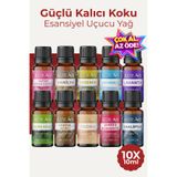 Auran Favori 10'lu Set Esansiyel Uçucu Yağ Buhurdanlık Yağı Hava Nemlendirici Aroma Difüzörü Kokusu Esans