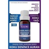 Auran Konsantrasyon - Odaklanma Sinerji Karışım Esansiyel Uçucu Yağ Buhurdanlık Yağı Aromaterapi Difüzör