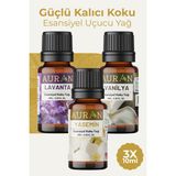 Auran Lavanta, Yasemin, Vanilya Saf Esansiyel Uçucu Yağ Buhurdanlık Yağ Esansı Parfüm 3x 10ml