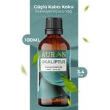AURAN Okaliptus Esansiyel Uçucu Koku Yağı 100ml Paraben İçermeyen Cam Şişede Kalıcı Koku