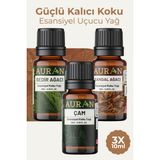 Auran Sedir Sandal Çam Saf Esansiyel Uçucu Yağ Buhurdanlık Yağ Difüzör Esans Aromaterapi Ortam 3x 10ml