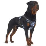 Auroth Taktik Köpek Eğitim Koşum Çekme Yok Ön Klips Tasma Yapışma Yansıtıcı K9 Pet Çalışma Yeleği Küçük Orta Büyük Köpekler için Kolay Kontrol Mavi Kamuflaj L