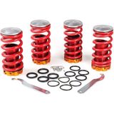 Autogp Honda Civic Uyumlu Spor Helezon Yay Coilover Alçaltma Kiti Ayarlı 88-92