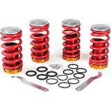 Autogp Honda Civic Uyumlu Spor Helezon Yay Coilover Alçaltma Kiti Ayarlı 98-01