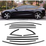 Autogp Tesla Model Y Cam Çerçevesi Kenar Çıtası Pianoblack Tamtur 10 Parça 2020 / 2024