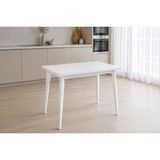 Avanos Mdf Sabit Mutfak Masası, 60X90 Cm, Beyaz Beyaz