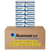 Avansas Ecosoft Z Katlama Havlu 20 X 20 Cm 200 Yaprak - 12'Li