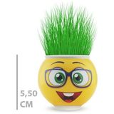 AvantajAl Çim Adam Saksı Emoji Figürlü 1 Adet - Çok Renkli - Diğer