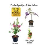Avantajlı Pembe Oya Ağacı Fidanı Mor Salkım Ağacı Fidanı Buz Çiçeği Bahçe Peyzaj Seti