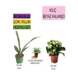 Avantajlı Ürünler 3'lü Set Tek Dikim Kılıç Beyaz Kalanşo Buz Çiçeği