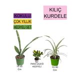 Avantajlı Ürünler 3'lü Set Tek Dikim Kılıç Kurdele Çiçeği Para Çiçeği