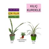 Avantajlı Ürünler 3'lü Set Tek Dikim Kılıç Kurdele Çiçeği Tül Çiçeği