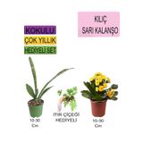 Avantajlı Ürünler 3'lü Set Tek Dikim Kılıç Sarı Kalanşo Itır Çiçeği