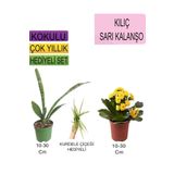 Avantajlı Ürünler 3'lü Set Tek Dikim Kılıç Sarı Kalanşo Kurdele Çiçeği