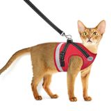 AVCCAVA Yürümek için Kedi Koşum Takımı ve Tasma, Kaçış Korumalı Yumuşak ve Nefes Alabilir Ayarlanabilir Yelek Koşum Takımı, Hafif Kontrol Edilmesi Kolay Orta Köpek Yavru Kedi Koşumu, Rahat Dış Mekan