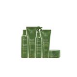 Aveda Be Curly Advanced Şampuan 250ml Saç Kremi 200ml Durulanmayan Krem 200ml Mist 200ml Maske 200ml