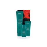 Aveda Botanical Repair Yıpranmış Saçlar İçin Yoğun Bitkisel Onarım Seti