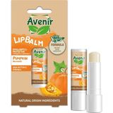 Avenir Balkabağı Vegan Dudak Bakım Kremi - Kuruyan ve Çatlayan Dudaklar Için Yumuşatıcı ve Koruyucu Etkili - standart