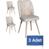 Avenza Living Kare Gold 3'lü Sandalye Mutfak Sandalyesi - Cappuccino
