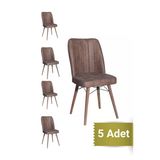 Avenza Living Kare Gold 5Li Kahve Sandalye Mutfak Sandalyesi