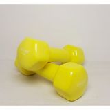 Avessa 1,5 kg Vinil Dambıl Pvc 2 Adet - 1,5 kg x 2 Adet
