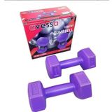 Avessa 2 Kg Plastik Dambıl Db-4141-2