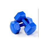 Avessa 6 Kg Plastik Dambıl Çift Mavi, Krl-Db-4141-6