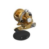 Avet Sx 5.3 Mc G2 With Glide Plate Sağ Kol Jigging Çıkrık Makine Gold