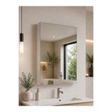 AVEVA HOME Tek Kapaklı Aynalı Raflı Banyo Dolabı 60x40x15