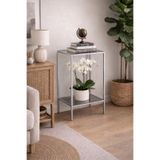 AVİBO HOME Vetra Metal Yan Sehpa Gri Füme Cam 2 Katlı Cam Raflı Modern Dekoratif Saksı Standı 40x30 cm