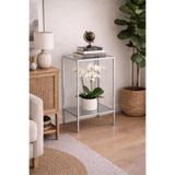 AVİBO HOME Vetra Metal Yan Sehpa Gri Şeffaf Cam 2 Katlı Cam Raflı Modern Dekoratif Saksı Standı 40x30 cm