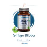 Avicenna Ginkgo Biloba - Ginkgo Yaprağı Içeren Takviye Edici Gıda - 60 Bitkisel Kapsül - 620mg