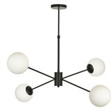 Avizemoda Pinza 4 lü Beyaz Camlı Salon Oturma Odası Modern Kollu Avize - (Siyah)