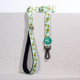 Avocado Leash Kedi Köpek Sevk & Gezdirme Kayışı Köpek Uzatma Tasması