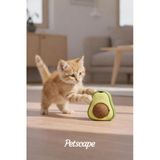 Avocado Şekilli Kedi Nanesi Oyuncağı