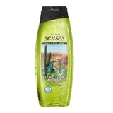 Avon Cactus Ridge 250 ml Erkekler İçin Saç ve Vücut Şampuanı