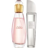 Avon Kadın Parfüm Seti: Celebre ve Pur Blanca EDT - Çiçeksi ve Ferah Aroma, 2×50 ml, Özel Hediye Paketi
